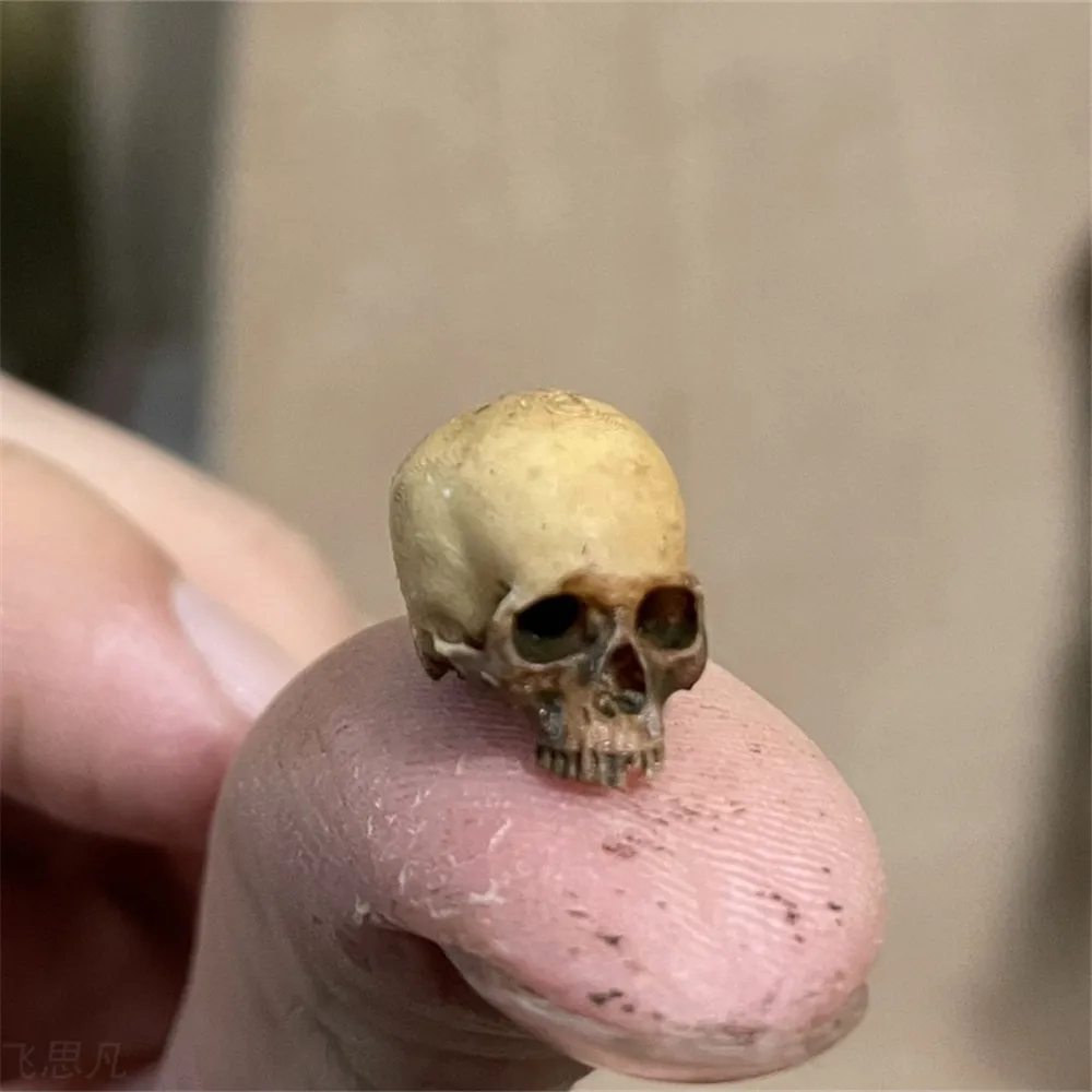 Aquarium Plant In Pot - Mini Skull High Quality Miniature Model