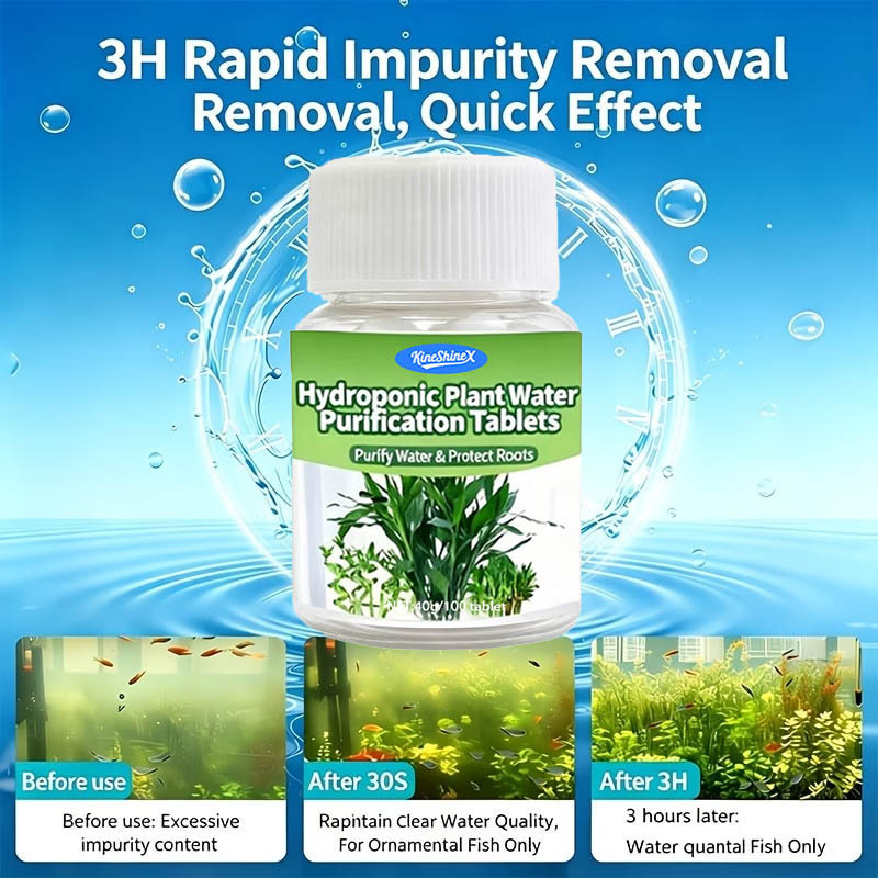 Hydroponic Water Purification  - Aquarium Plant In Pot review and price