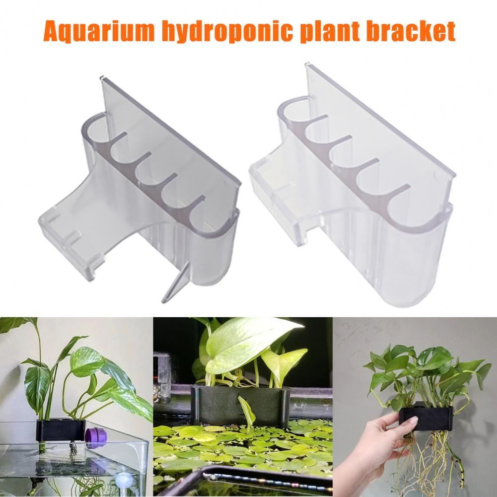 4.5/6.5cm Aquarium Plant Holde - Aquarium Plant In Pot review and price