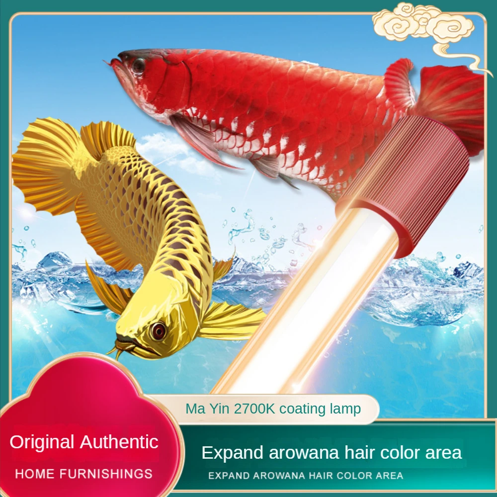 Glass Arowana Fish Tank Light, - Planted Aquarium Yellow Water review and price