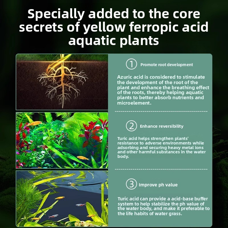 Aquarium Plant Fertilizer - Co - Planted Aquarium Carpet Plant review and price