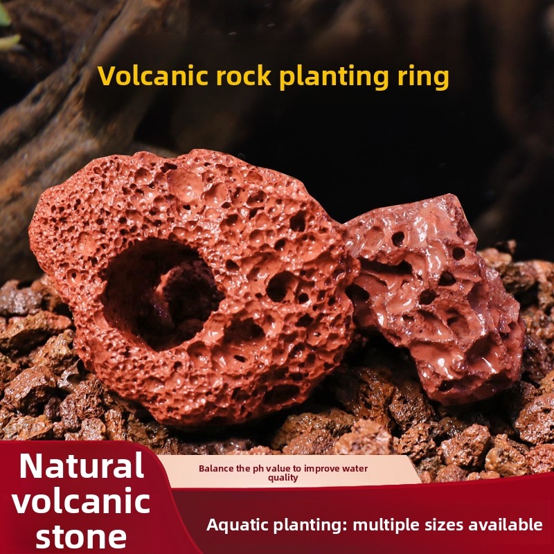 Red Lava Rock Planting Ring –  - Planted Aquarium Carpet Plant review and price
