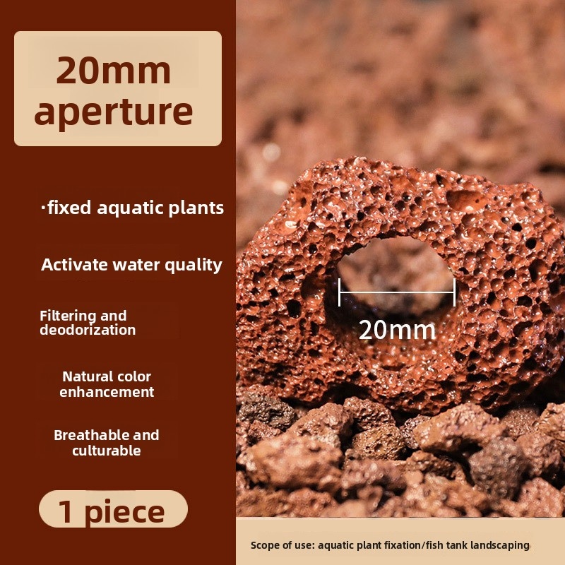 Red Lava Rock Planting Ring –  - Planted Aquarium Carpet Plant review and price