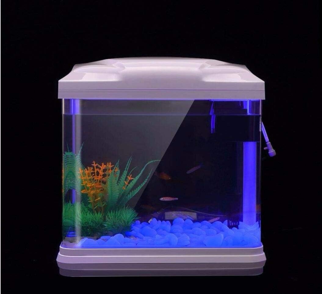 Fish Tank Rocks Glow Blue Pebb - Aquarium Plant In Pot review and price