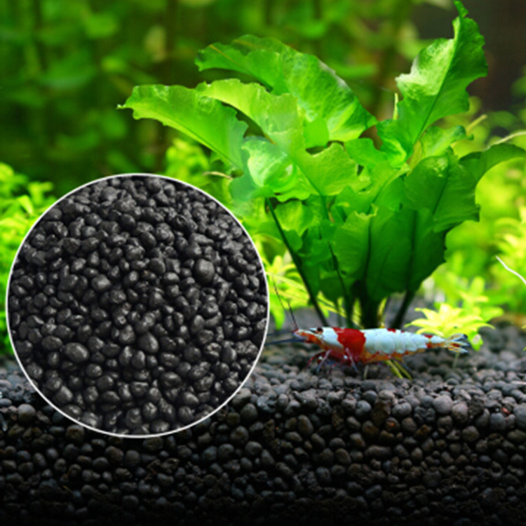 Aquarium Plant Seeds Soil Fish - Aquarium Plant In Pot review and price