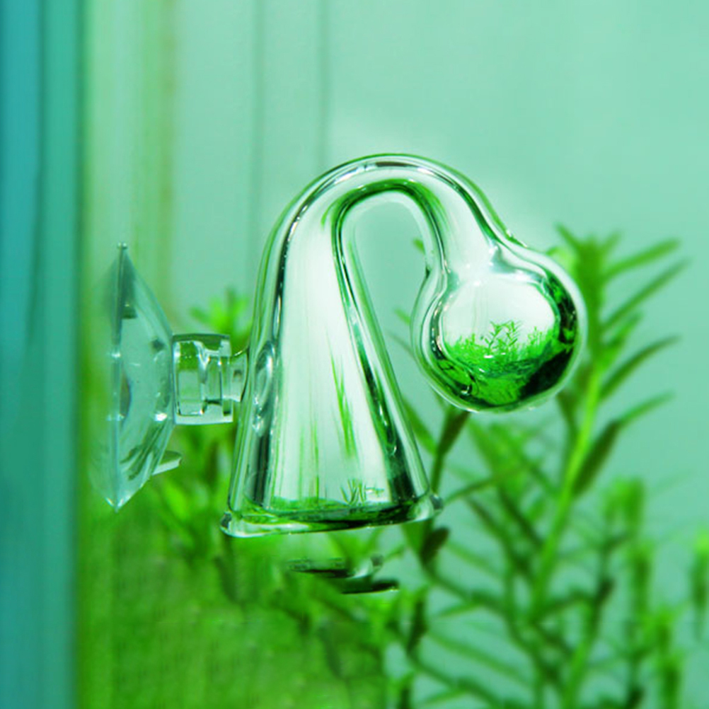 Fish Tank CO2 Diffuse Glass Dr - Aquarium Plant In Pot review and price