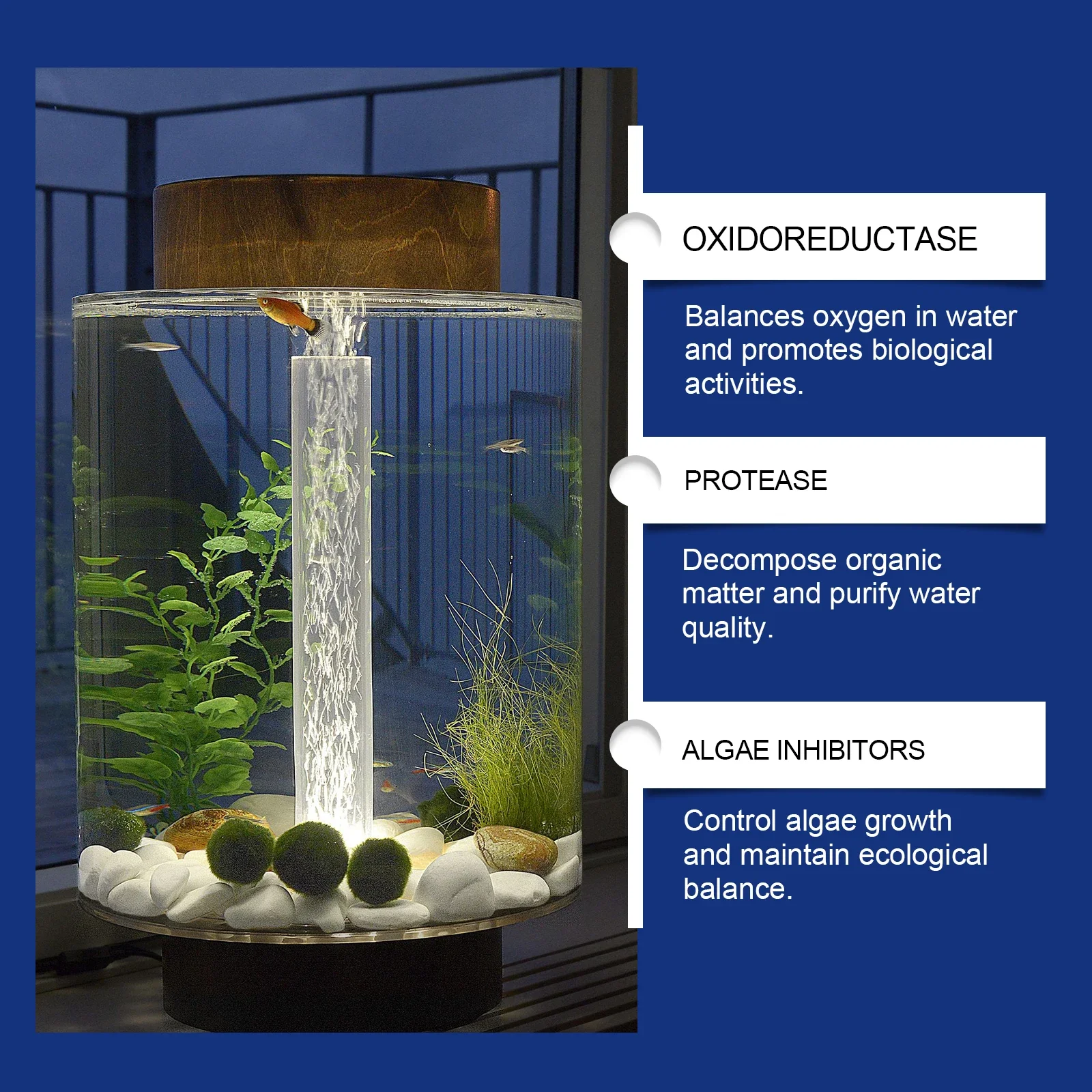 Aquarium Water Clarifier Fish  - Aquarium Plant Liquid Fertilizer review and price