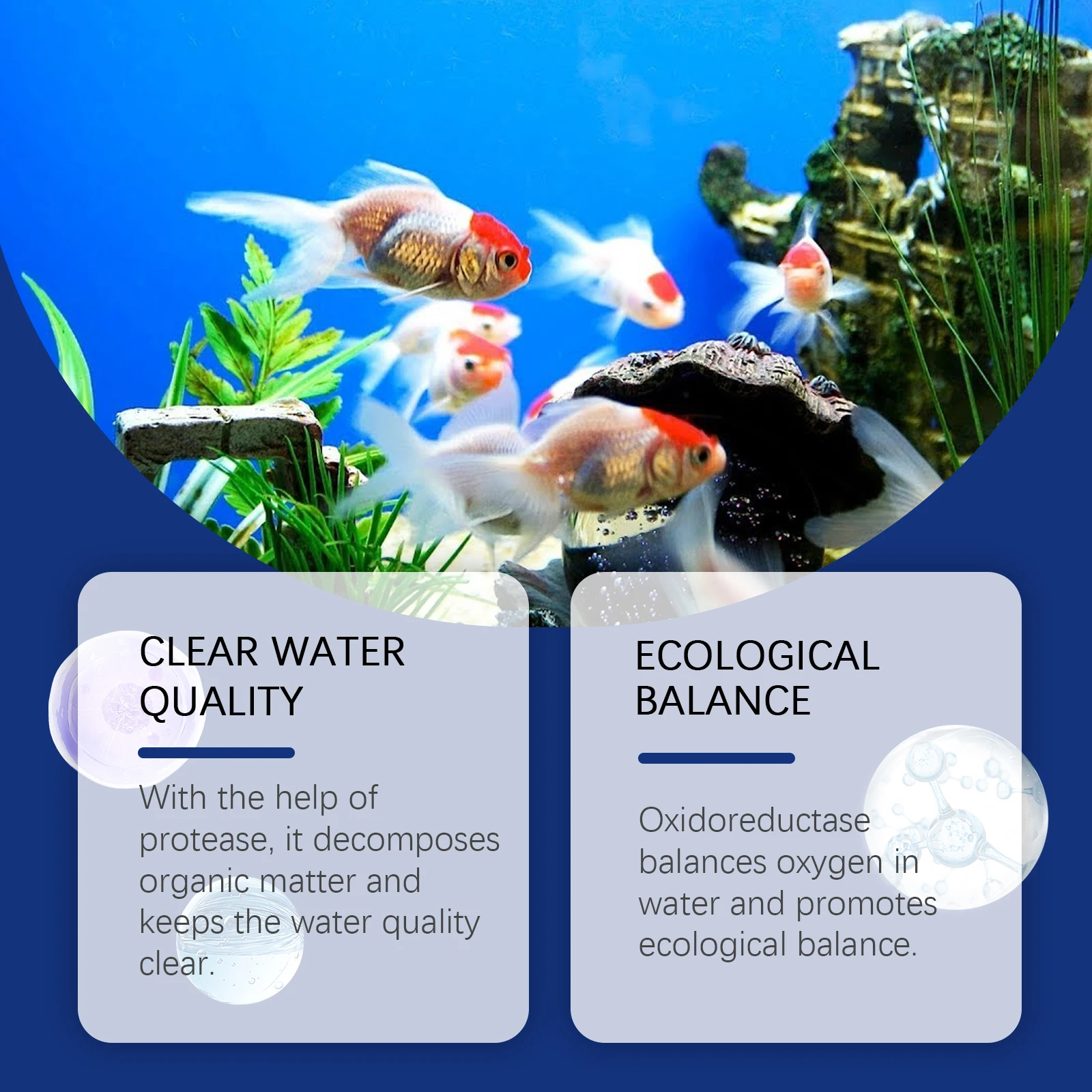 Aquarium Water Clarifier Fish  - Aquarium Plant Liquid Fertilizer review and price
