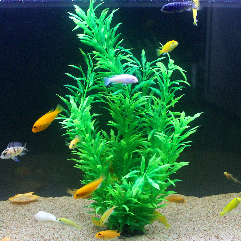 50CM Artificial Fish Tank Rare - Aquarium Plant In Pot review and price